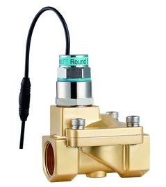 Zichzelf onderhoudende Bistabiele de Solenoïdeklep 3/8 van de Rszreeks“ - 2“