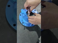 Voor de toepassing van deze verordening geldt dat de in bijlage I bij Verordening (EG) nr. 1907/2006 vermelde voorschriften worden nageleefd.